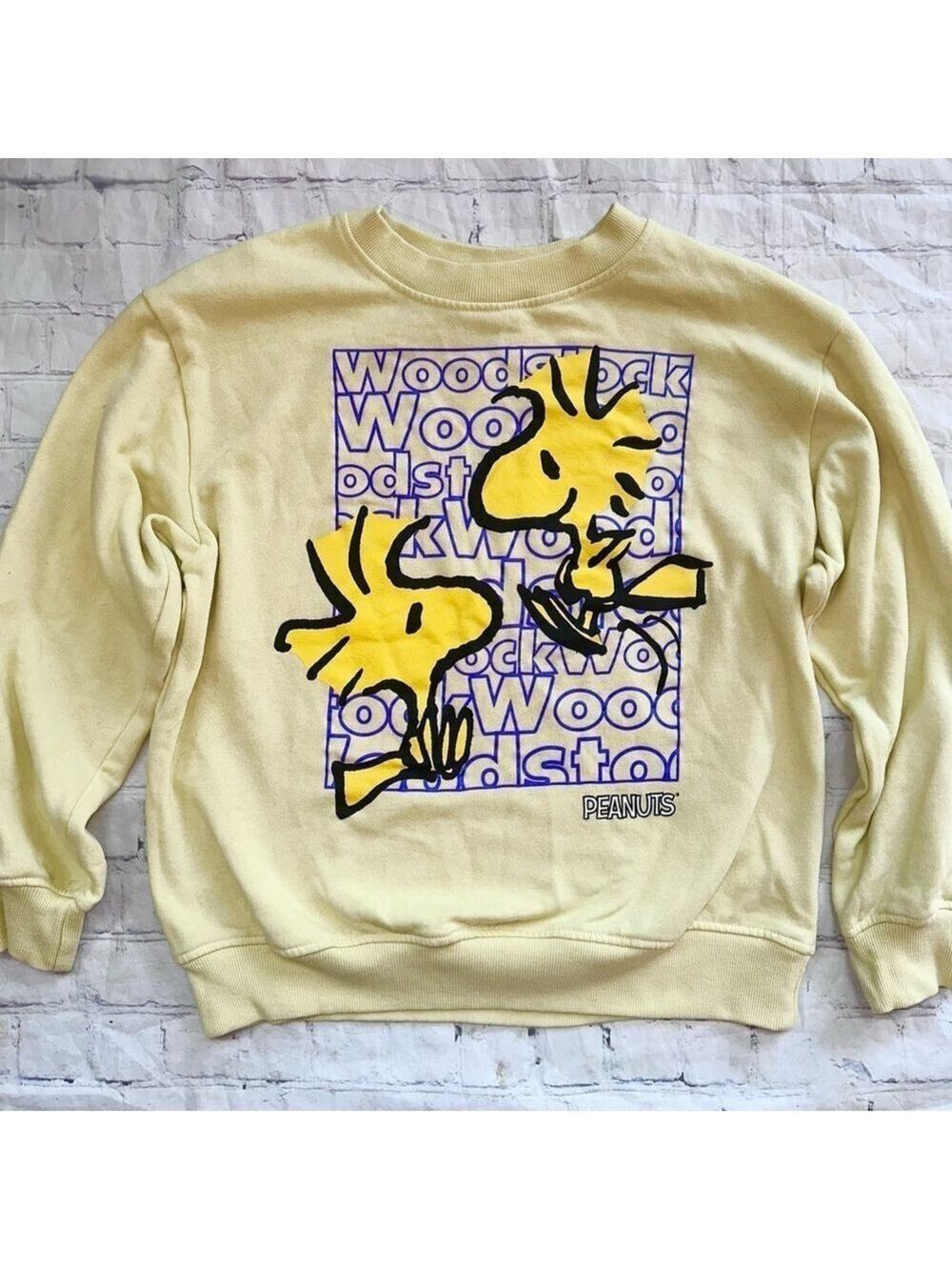 NWOT Girl’s Junior Medium Peanuts Woodstock Graphic LS Pullover Sweatshirt